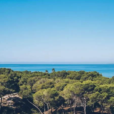 Отель Iberostar Selection Llaut Palma- Adults Only Плайя де Пальма